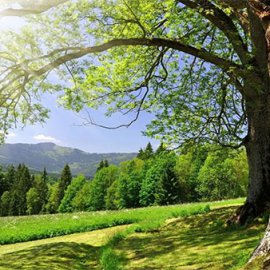 Примеры работ