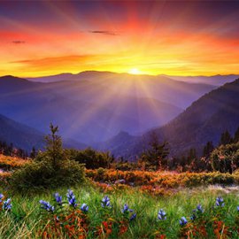 Примеры работ