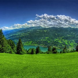 Примеры работ